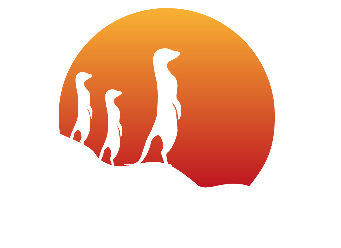 Suricata IPS